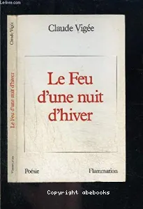 Le Feu d'une nuit d'hiver