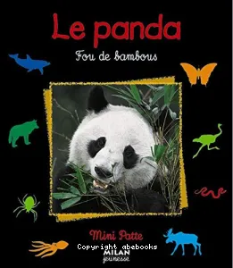 Le panda: fou des bambous