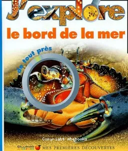 J'explore le bord de la mer