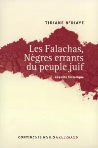 Les Falachas, Nègres errants du peuple juif