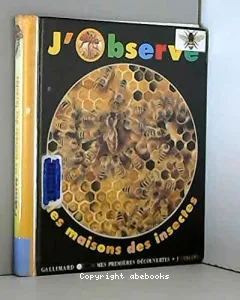 J'observe les maisons des insectes (Publication en hébreu)