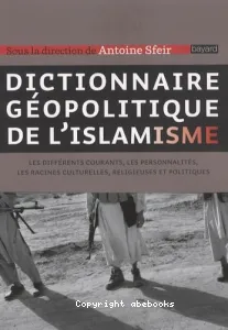 Dictionnaire géopolitique de l'islamisme