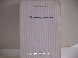 L'amour, roman